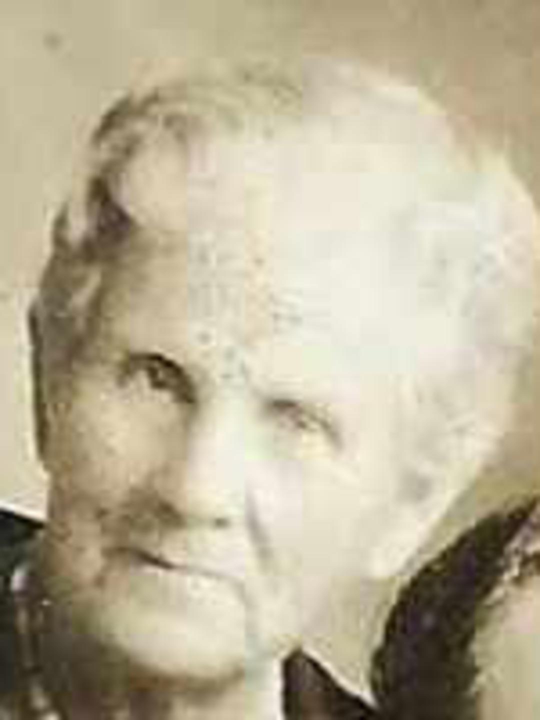 Dorcas Averett (1846 - 1907) Profile